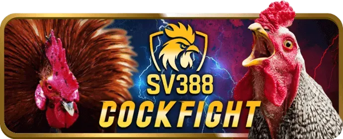 Đội ngũ hỗ trợ khách hàng 24/7 của 3in1bet