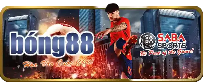 Màn hình hiển thị tỷ lệ cược trực tiếp và cập nhật điểm số